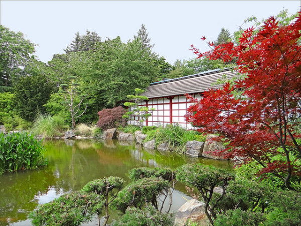 Jardin japonais